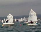 El CN Vilanova acull la 4ª prova classificatòria pel Circuit Català d’Optimist a la Regata Trofeu Nadal