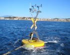 Alerten que l´escalfament posa en risc espècies de la Costa Brava