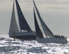 El CN Estartit cierra el Trofeo Interclubs Empordà 2017