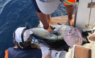 La Garmin Great Tuna Race tanca la temporada 2018 al CN Llançà