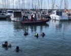 Limpieza del fondo marino en Port Masnou