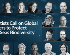 Marinas de España se adhiere a la carta que reclama a la ONU la protección de la biodiversidad en aguas internacionales