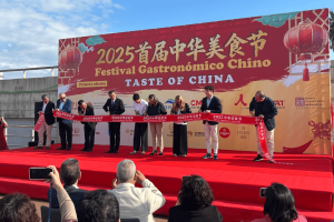 festival-gastronomico-chino-blog-cabecera