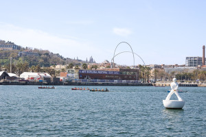 55164867155_b42cb8319a_c